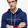 Brodeerattu Tommy-logolla varustettu Colorblock-huppari