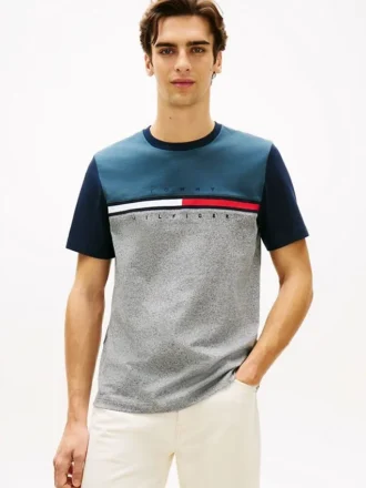 Colorblock Flag Stripe Logo T-paita