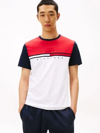 Colorblock Flag Stripe Logo T-paita