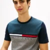 Colorblock Flag Stripe Logo T-paita