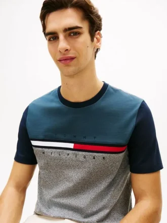Colorblock Flag Stripe Logo T-paita