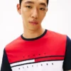 Colorblock Flag Stripe Logo T-paita Colorblock Flag Stripe Logo T-paita