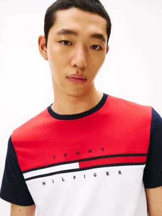 Colorblock Flag Stripe Logo T-paita