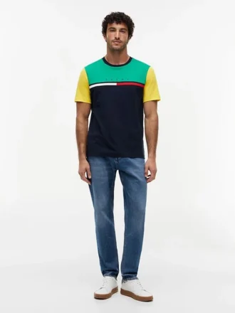 Colorblock Flag Stripe Logo T-paita