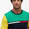 Colorblock Flag Stripe Logo T-paita