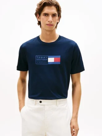 Flag Box Logo T-paita