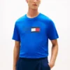 Flag Box Logo T-paita
