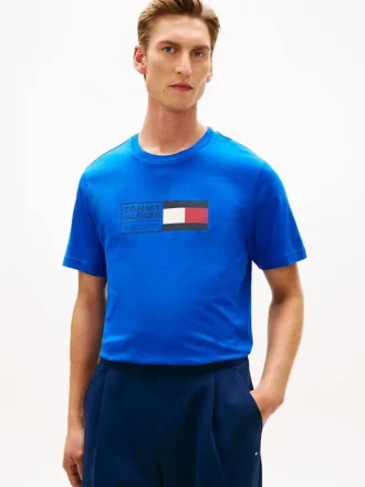 Flag Box Logo T-paita