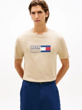Flag Box Logo T-paita