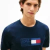 Flag Box Logo T-paita