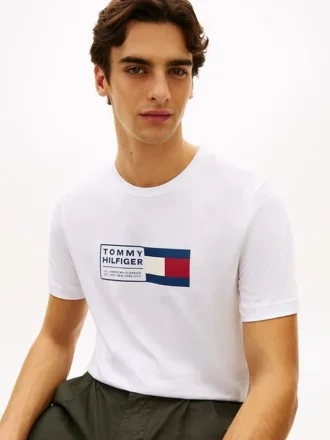 Flag Box Logo -T-paita