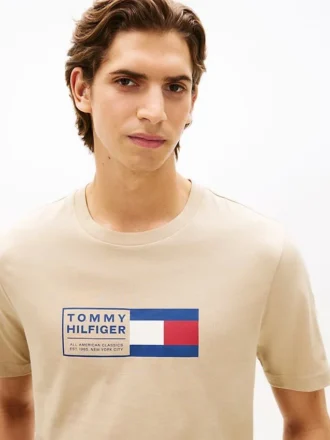 Flag Box Logo T-paita
