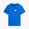 Flag Box Logo T-paita