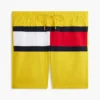 Flag Logo 7″ uimahousut Flag Logo 7″ uimahousut
