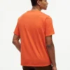 Hilfiger Box Logo -T-paita