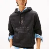 Hilfiger Crest Logo Heathered Hoodie Hilfiger Crest Logo Heathered Hoodie