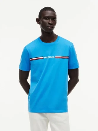 Hilfiger Signature Stripe Logo T-paita