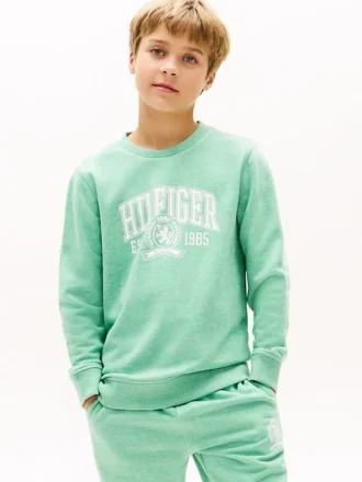 Lasten Hilfiger 85 Logo -huppari