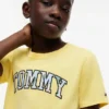 Lasten kukallinen Tommy-logopaita Lasten kukallinen Tommy-logopaita