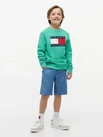 Lasten Tommy Flag -logolla varustettu raglan-huppari