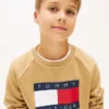 Lasten Tommy Flag -logolla varustettu raglan-huppari Lasten Tommy Flag -logolla varustettu raglan-huppari
