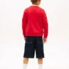 Lasten Tommy Flag -logolla varustettu raglan-huppari Lasten Tommy Flag -logolla varustettu raglan-huppari