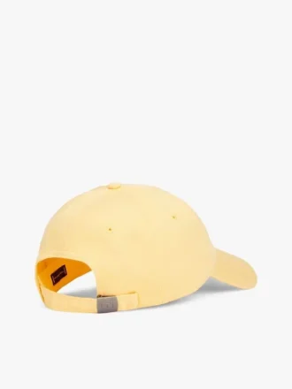 Lippulogolla varustettu baseball-lippalaki