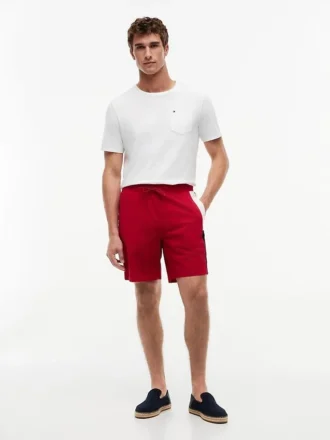 Regular Fit 8″ Flag Colorblock Shortsit