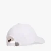 Sailing Flag Circle Logo -baseball-lippalakit