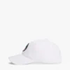 Sailing Flag Circle Logo -baseball-lippalakit