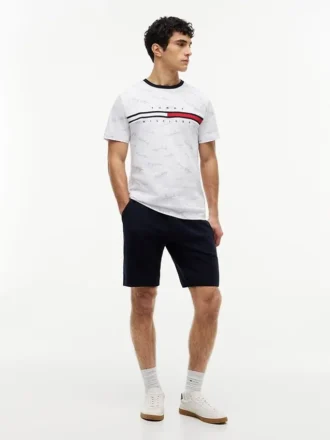 Signature Flag Stripe -logopaita