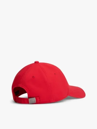Tommy-baseball-lippalakit