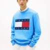 Tommy Jeans Big Flag Logo -huppari