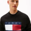 Tommy Jeans Big Flag Logo -huppari