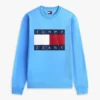 Tommy Jeans Big Flag Logo -huppari