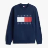 Tommy Jeans Big Flag Logo -huppari