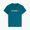 Tommy Jeans -logopaita