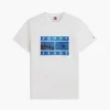 Tommy Jeans Photo Graphic T-paita