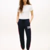Varsity Tommy Logo Colorblock -verkkarihousut Varsity Tommy Logo Colorblock -verkkarihousut