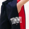 Varsity Tommy Logo Colorblock -verkkarihousut Varsity Tommy Logo Colorblock -verkkarihousut